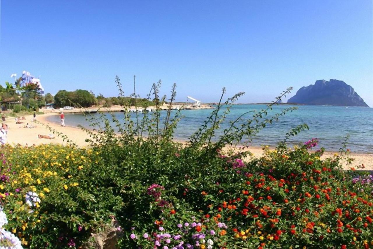 Baia De Bahas - Apartments & Resort Marinella  Luaran gambar